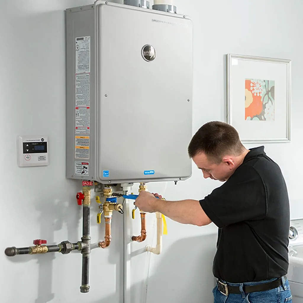 tankless water heater repair in Edwards, MO